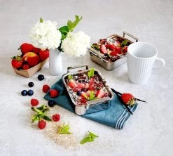 Cristel Mini Braadslede 12 X 10 Cm Rvs -Keukengerei Winkel 4 md clafoutisminiplat