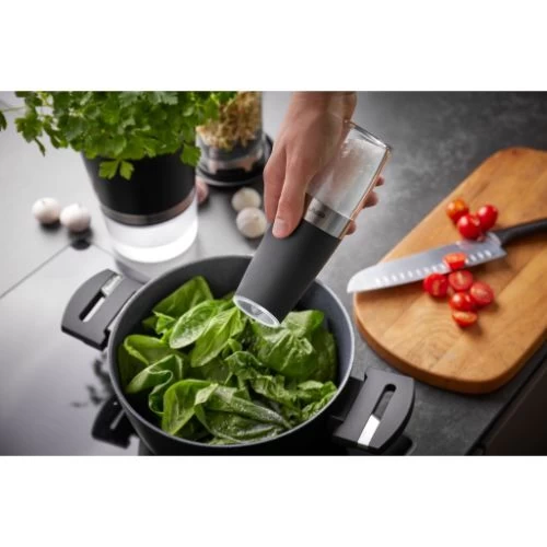 Gefu Giva Zout- Of Pepermolen 20 Cm Roestvrij Staal Zwart 4 Gefu Giva Zout- Of Pepermolen 20 Cm Roestvrij Staal Zwart - Afbeelding 2