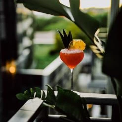 Nude Fantasy Cocktailglazen 675 Ml Kristalglas 2 Stuks -Keukengerei Winkel image1 700x